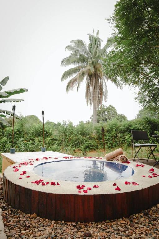 Aed väljaspool majutusasutust Mangoo Glamping