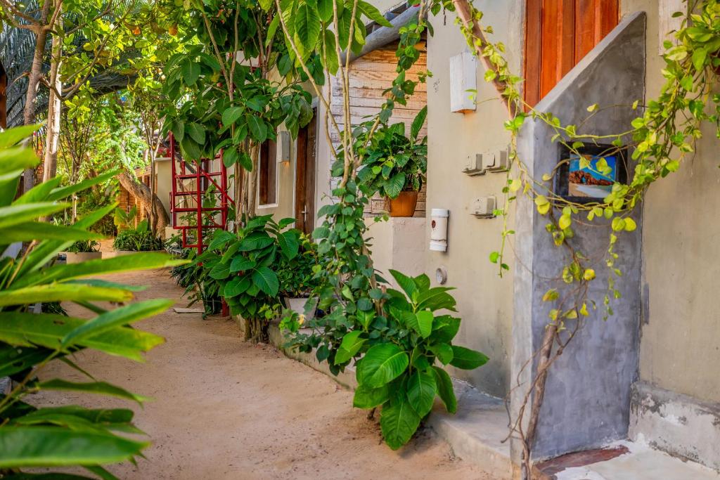 Um jardim em Hostel Jericoacoara