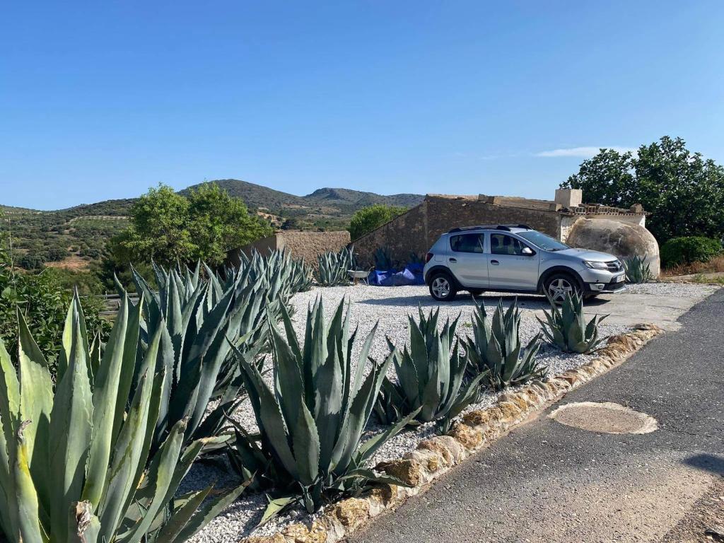 Cortijo Frankie - Three-Bedroom Apartment
