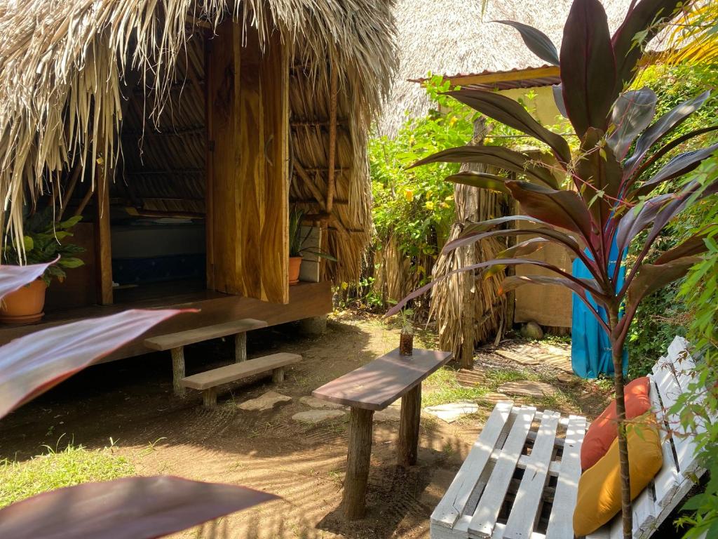 a bench and a hut in a yard with a plant at Calypso cabanas in El Paredón Buena Vista