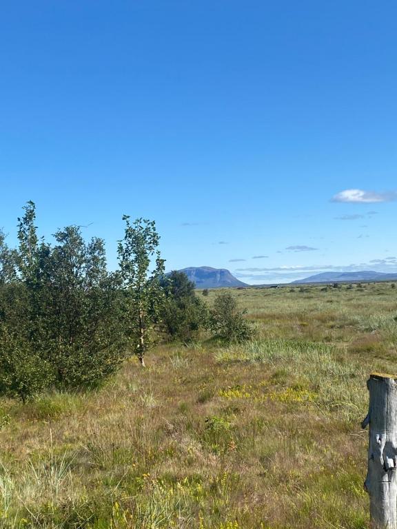 Náttúran í nágrenni sumarhússins
