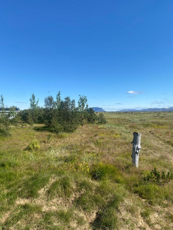 Náttúran í nágrenni sumarhússins