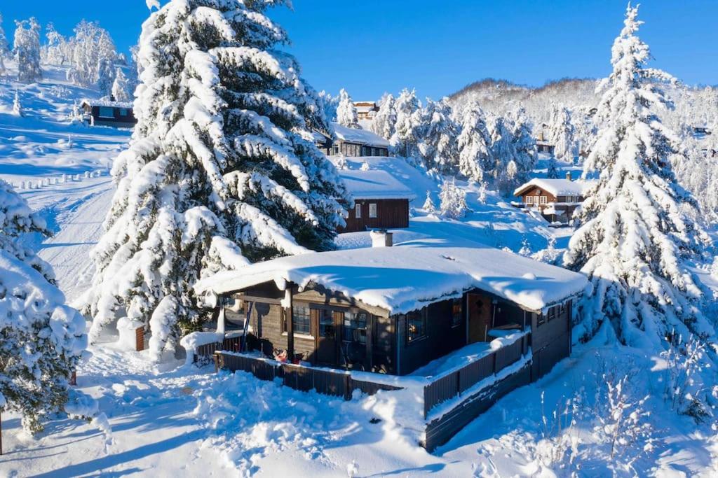 uma casa coberta de neve ao lado de uma árvore coberta de neve em Torbjørnhytta em Haugen