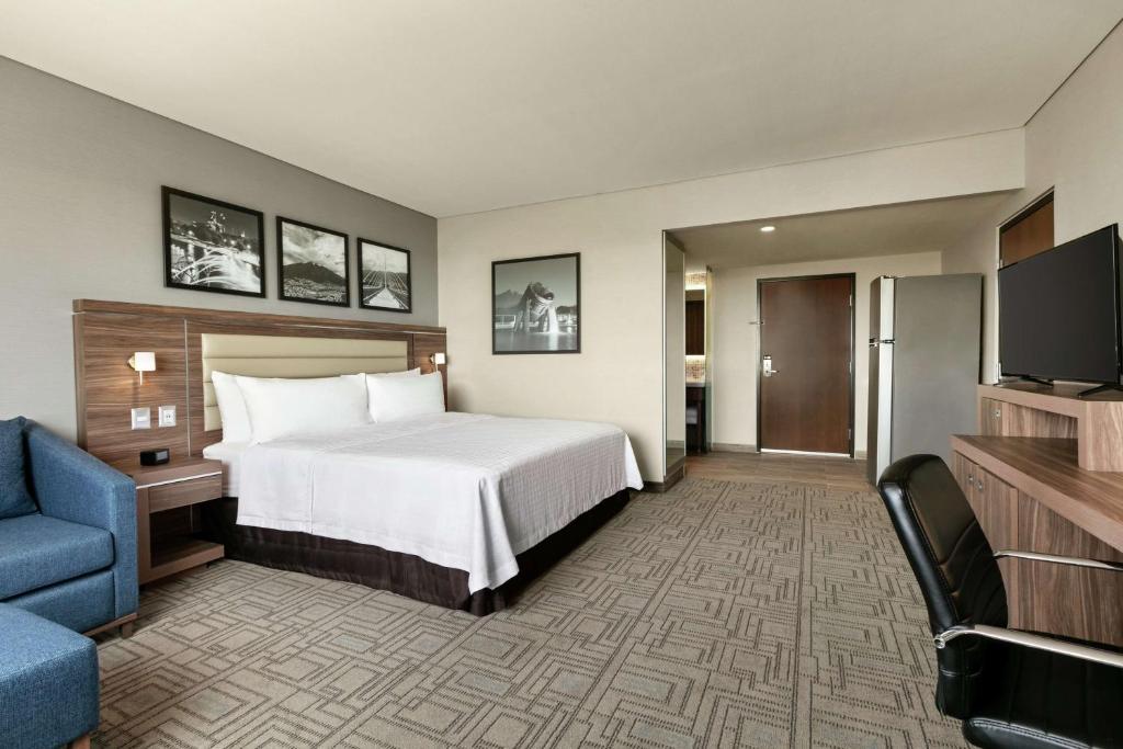 Hampton Inn By Hilton Monterrey Apodaca - King Suite - Non-Smoking