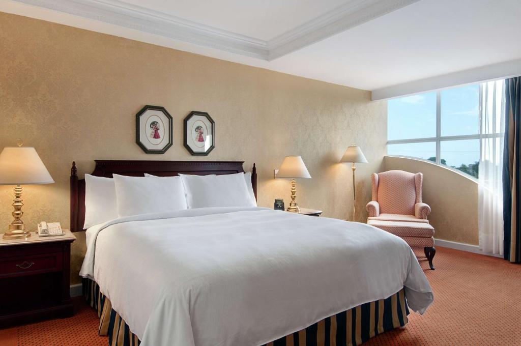 Hilton Princess Managua - Stanza King