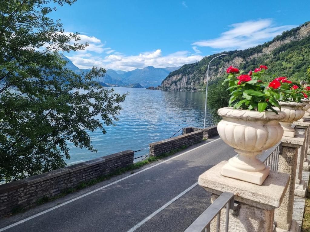 a vase with red flowers on a road next to a lake at Villa Roberta in Mandello del Lario
