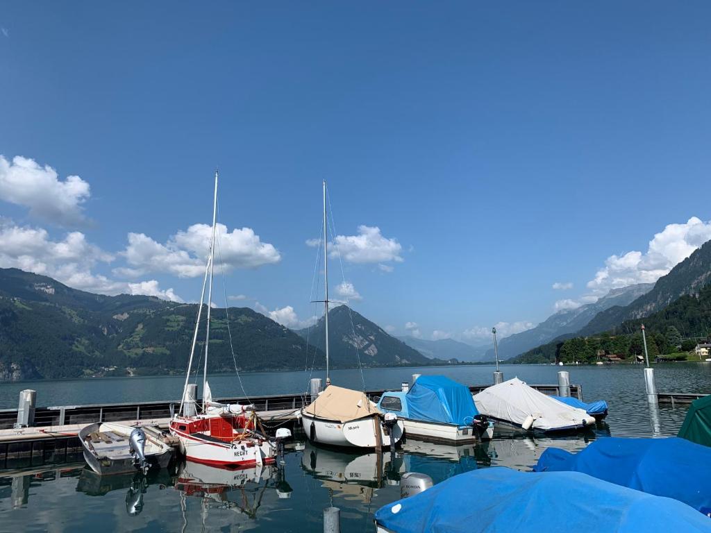 a bunch of boats are docked at a dock at Casa do Lago in Leissigen