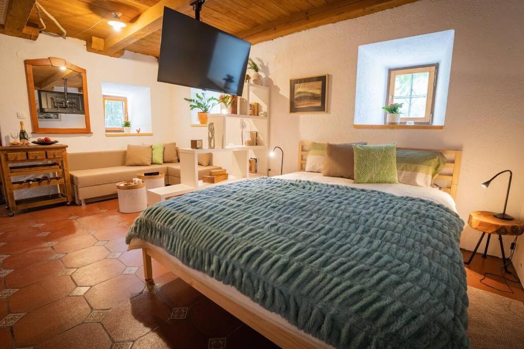 - une chambre avec un lit et un salon dans l'établissement Studio Apartment Pr' Mirotu, à Osilnica