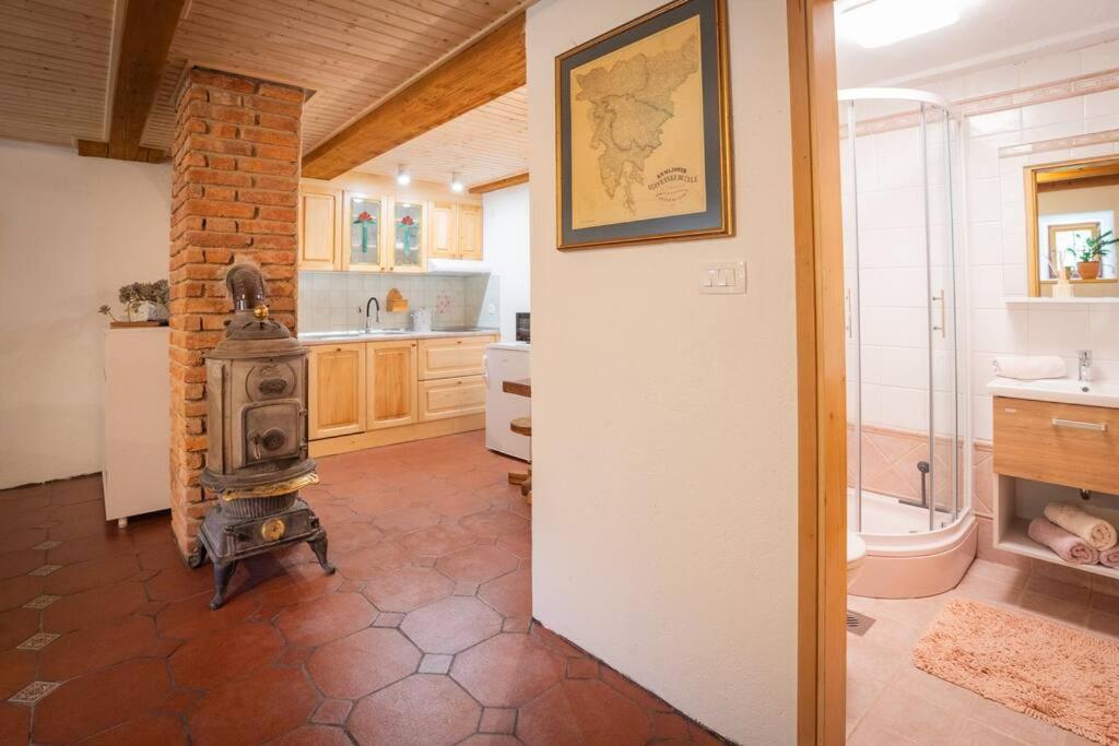 Koupelna v ubytování Studio Apartment Pr' Mirotu