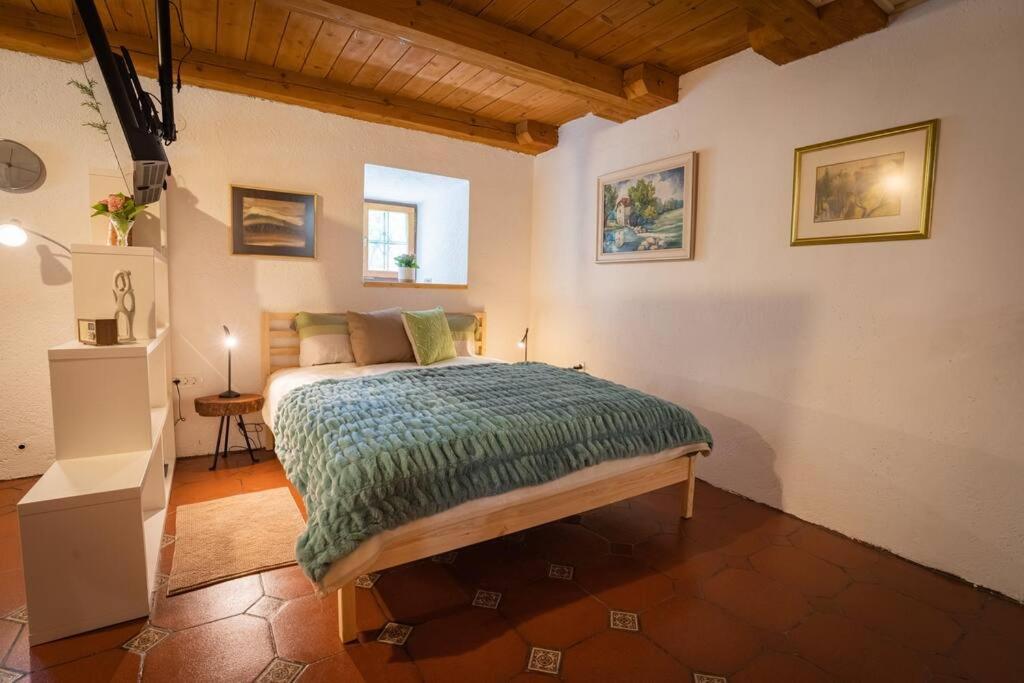 Postel nebo postele na pokoji v ubytování Studio Apartment Pr' Mirotu