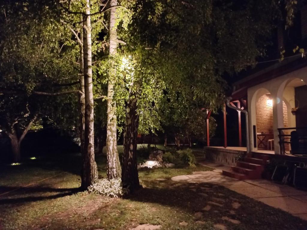 Vonkajšia záhrada v ubytovaní Iriški san