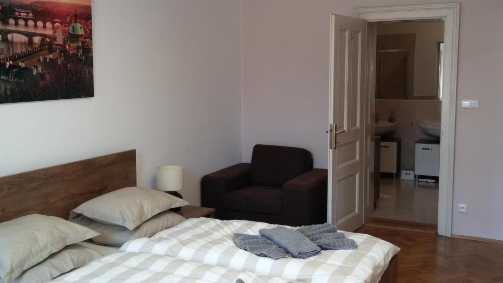 Fotografie z fotogalerie ubytování Apartment Balbínova v Praze