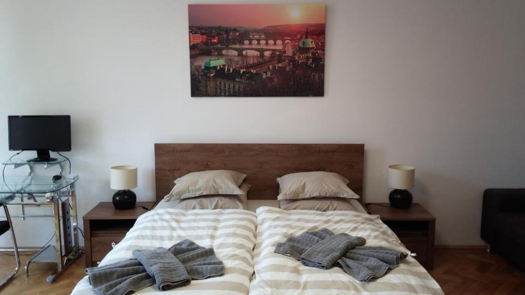 Fotografie z fotogalerie ubytování Apartment Balbínova v Praze