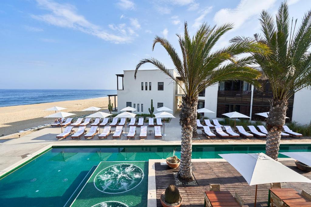 un hôtel avec une piscine, des palmiers et des chaises dans l'établissement Hotel San Cristobal Adults 15+, à Todos Santos