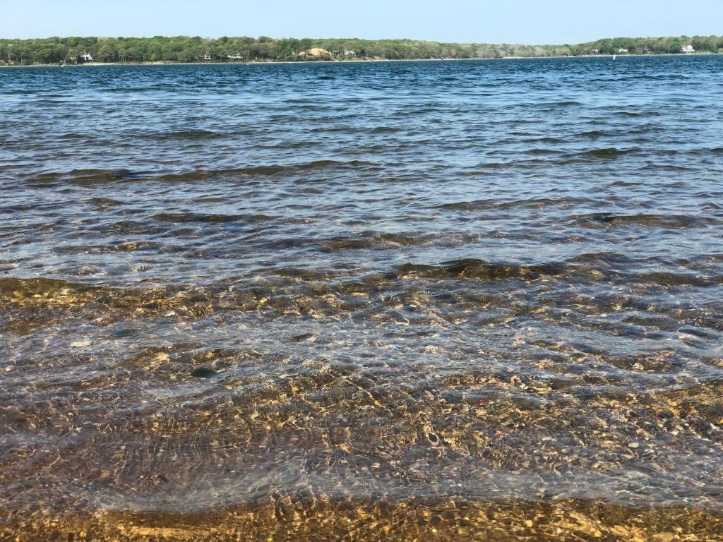 Waterfront escape with magical vibes!