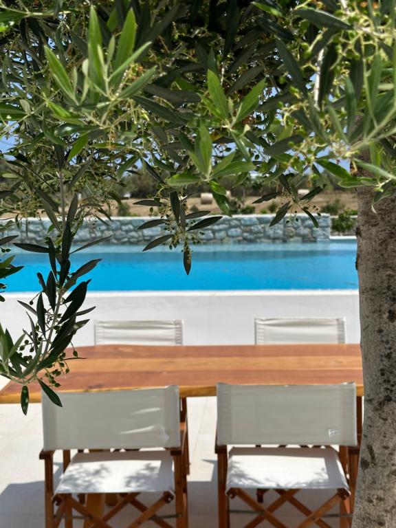 Bazén v ubytovaní Alio Naxos Luxury Suites alebo v jeho blízkosti