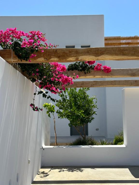 Vonkajšia záhrada v ubytovaní Alio Naxos Luxury Suites