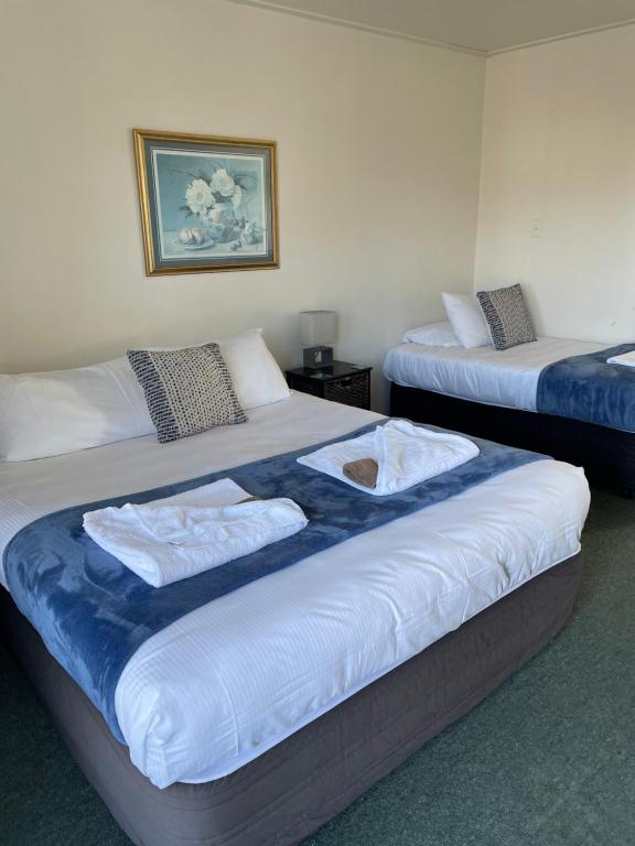 Postel nebo postele na pokoji v ubytování Buller Bridge Motel
