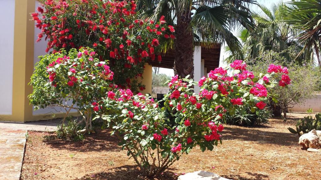 Agriturismo Calamate - 16