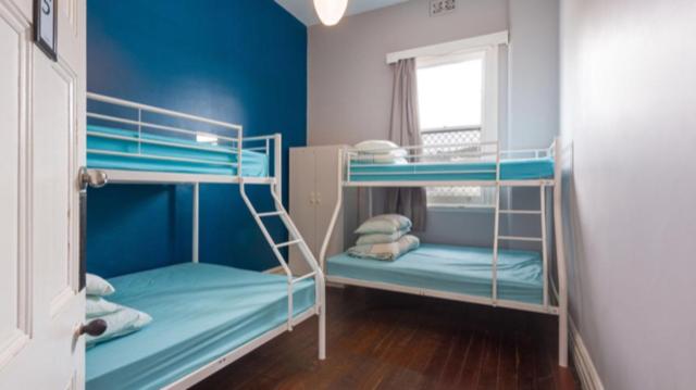 two bunk beds in a room with blue walls at 1849 Backpackers Albany in Albany