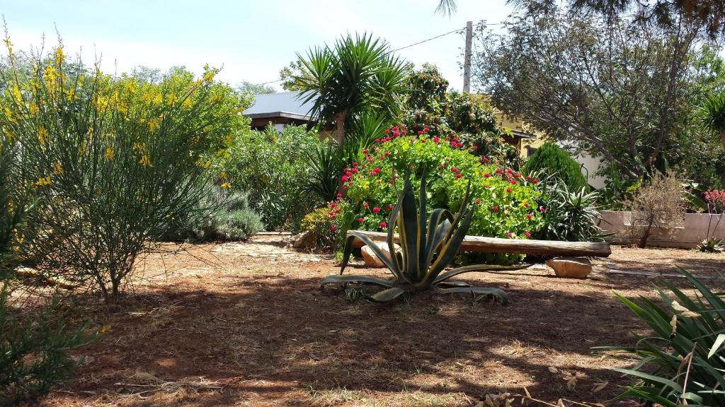 Agriturismo Calamate - 15