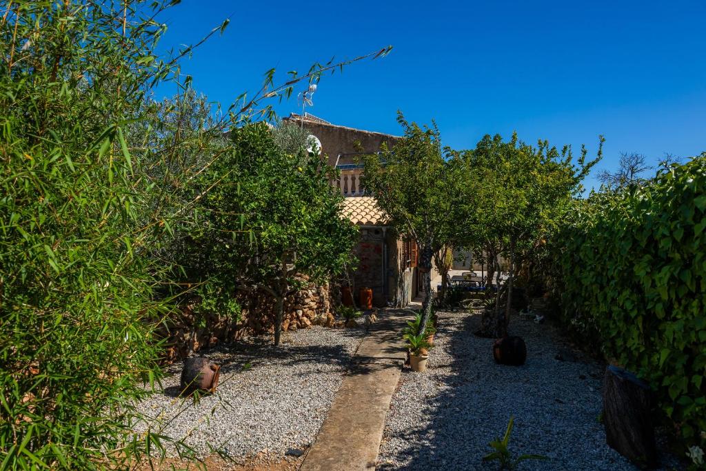 Zahrada ubytování Finca Can Hostalet