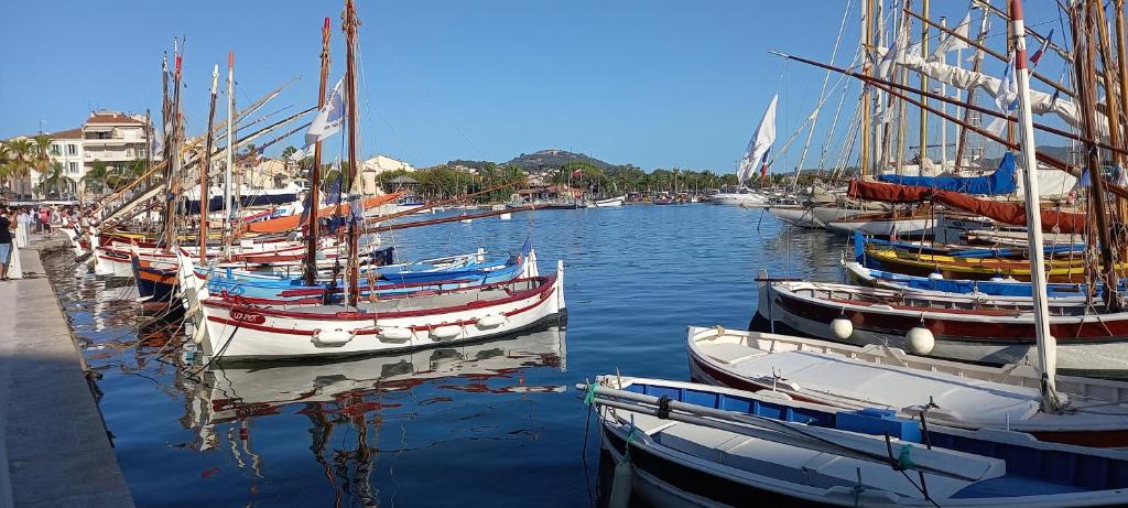 un groupe de bateaux est amarré dans un port dans l'établissement appartement centre ville avec terrasse, à Sanary-sur-Mer