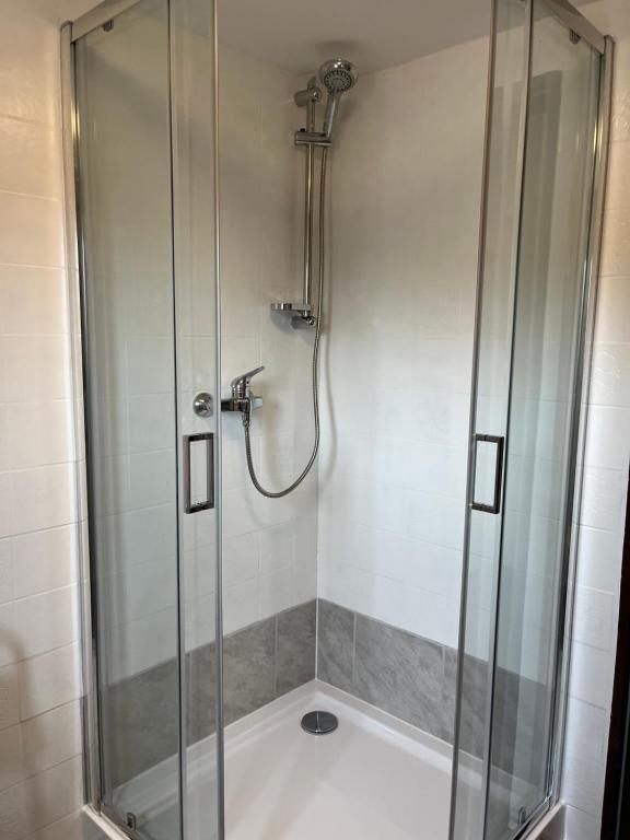 W łazience znajduje się prysznic ze szklanymi drzwiami. w obiekcie Ferienwohnung MaLi w mieście Arrach