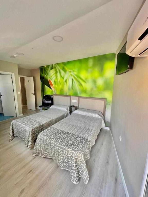 Hostal Viena Plaza Nueva - Resim 6