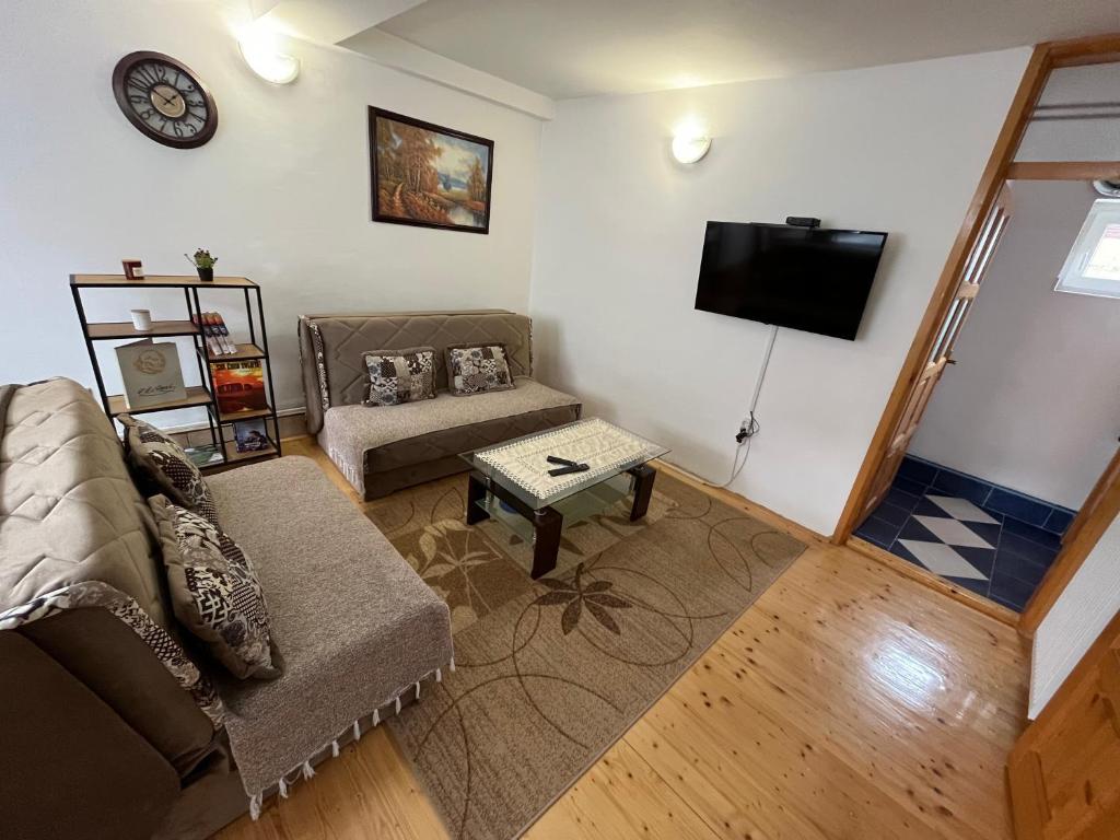 a living room with a couch and a tv at Apartment Phillip in Žabljak