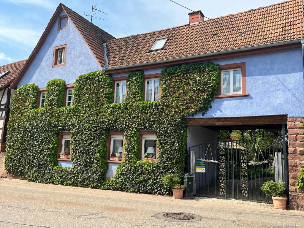 een blauw huis met klimop aan de zijkant bij Schönbachhof in Silz