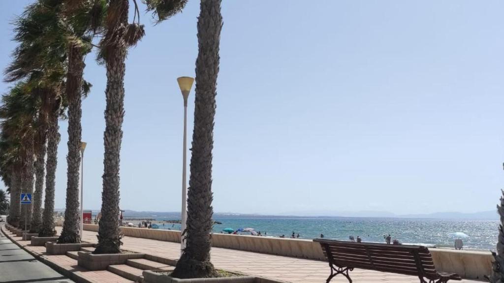 a row of palm trees on a boardwalk next to the beach at Casa Costacabana Mar in La Cañada de San Urbano