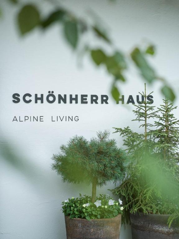 Fotografie z fotogalerie ubytování Schönherr Haus v Neustift im Stubaital