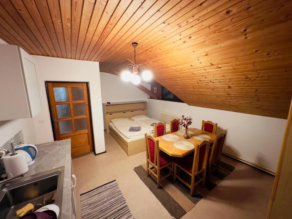 A kitchen or kitchenette at Penzión Hrubjak