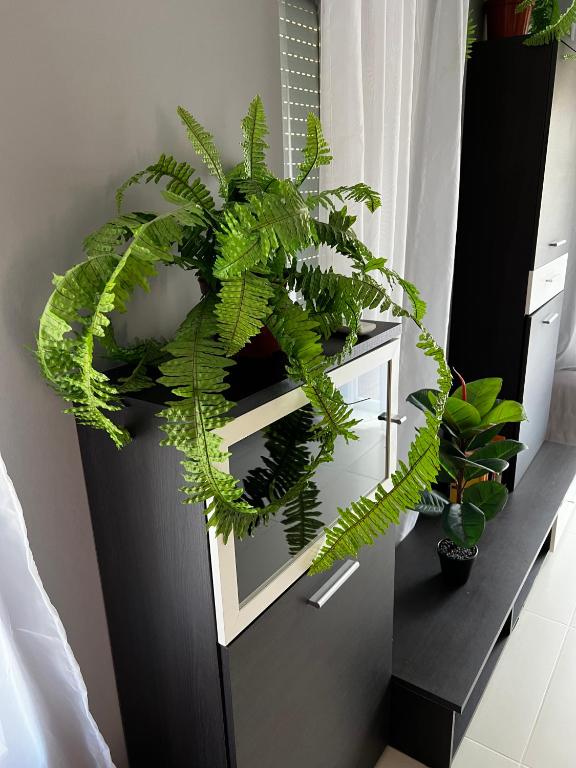 Butik Apartmanház - Apartamento De Lujo