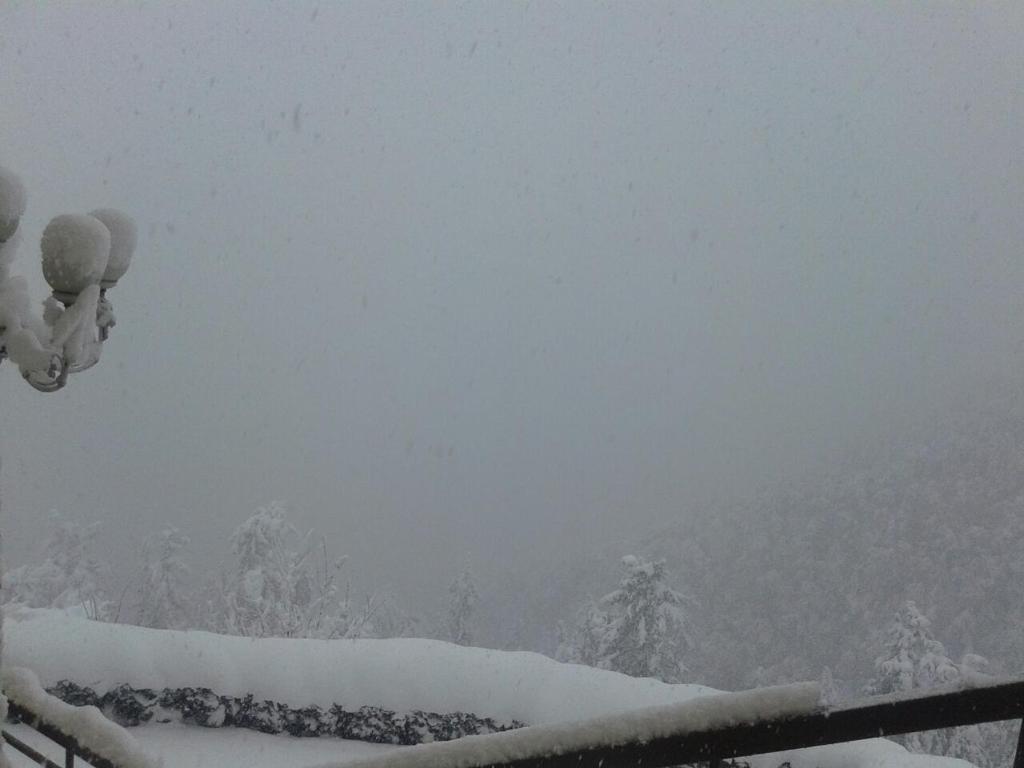 Toshali Royal View ,S H I M L A v zimě