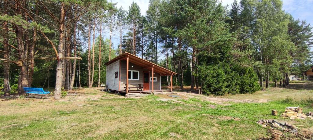 una pequeña cabaña en medio de un bosque en Domek w Puszczy Augustowskiej Sucha Rzeczka COLORADO, en Sucha Rzeczka