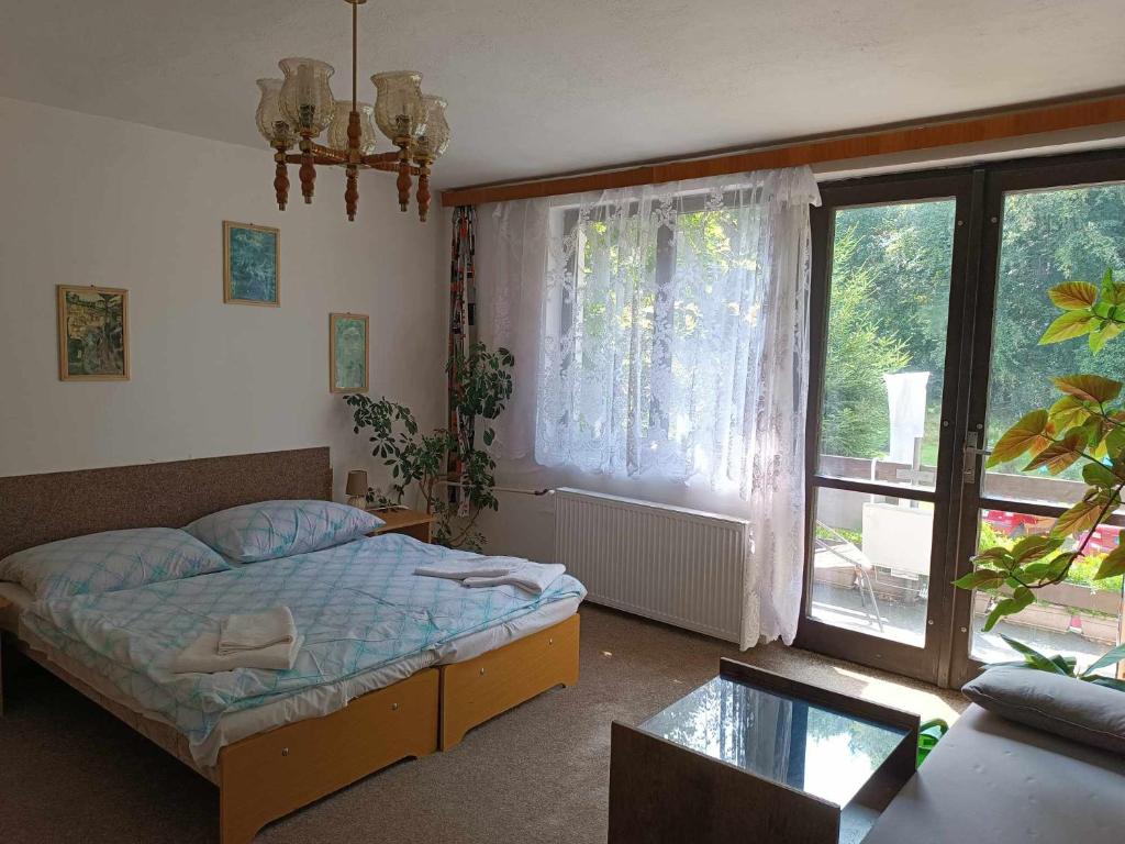 - une chambre avec un lit et une grande fenêtre dans l'établissement Pension U Stašáků, à Jetřichovice
