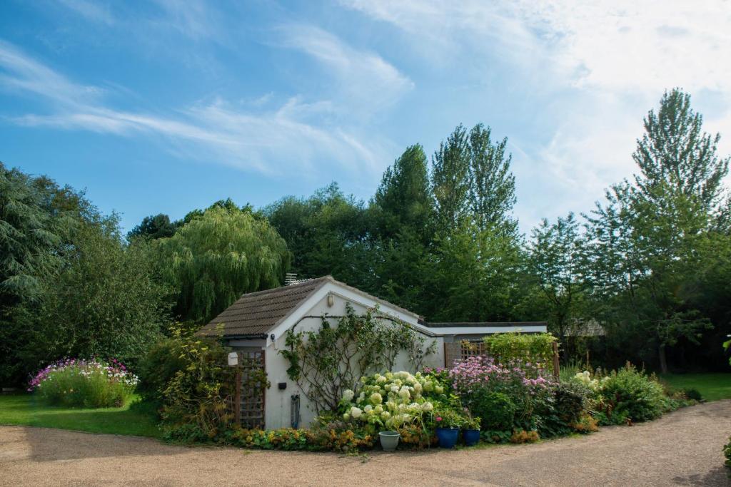 ein kleines Gewächshaus in einem Garten mit Blumen und Pflanzen in der Unterkunft Peaceful, country setting in Suffolk, near coast in Halesworth