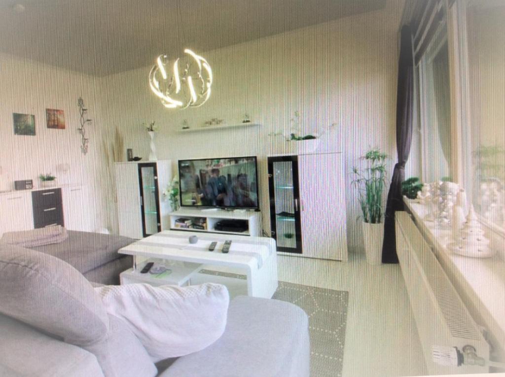 uma sala de estar com um sofá e uma televisão em Ferienwohnung App 256 em Braunlage