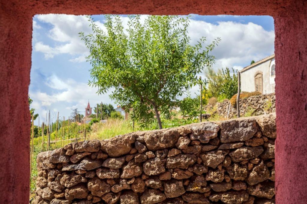 Fotografie z fotogalerie ubytování Lunarosa v destinaci Mascali