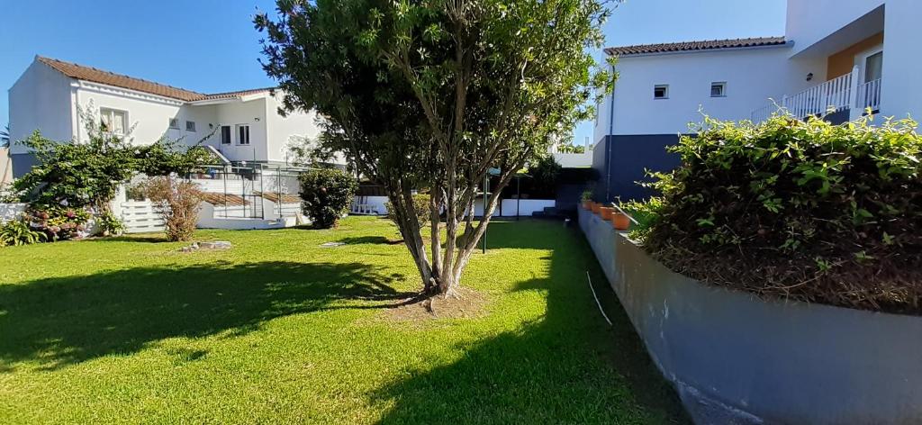 Zahrada ubytování Casinha do Chorão