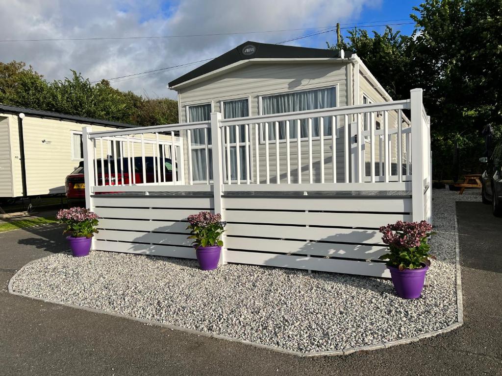 a small house with purple potted plants in front of it at Kayes Retreat Three bed caravan Newquay Bay Resort Quieter area of park in Newquay