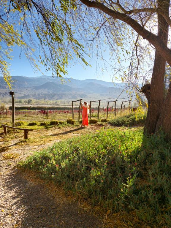 Una donna con un vestito rosso in piedi vicino a una recinzione di Finca Tuluz a Huacalera