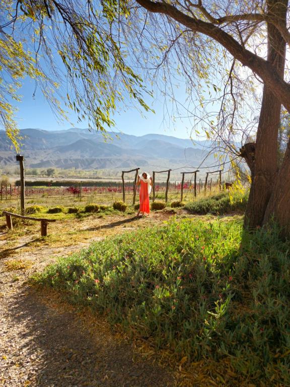 Huacalera – Photos 5
