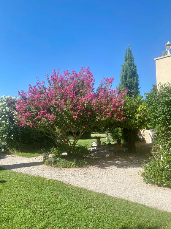 Zahrada ubytování Mas Les Fleurs d’Hilaire