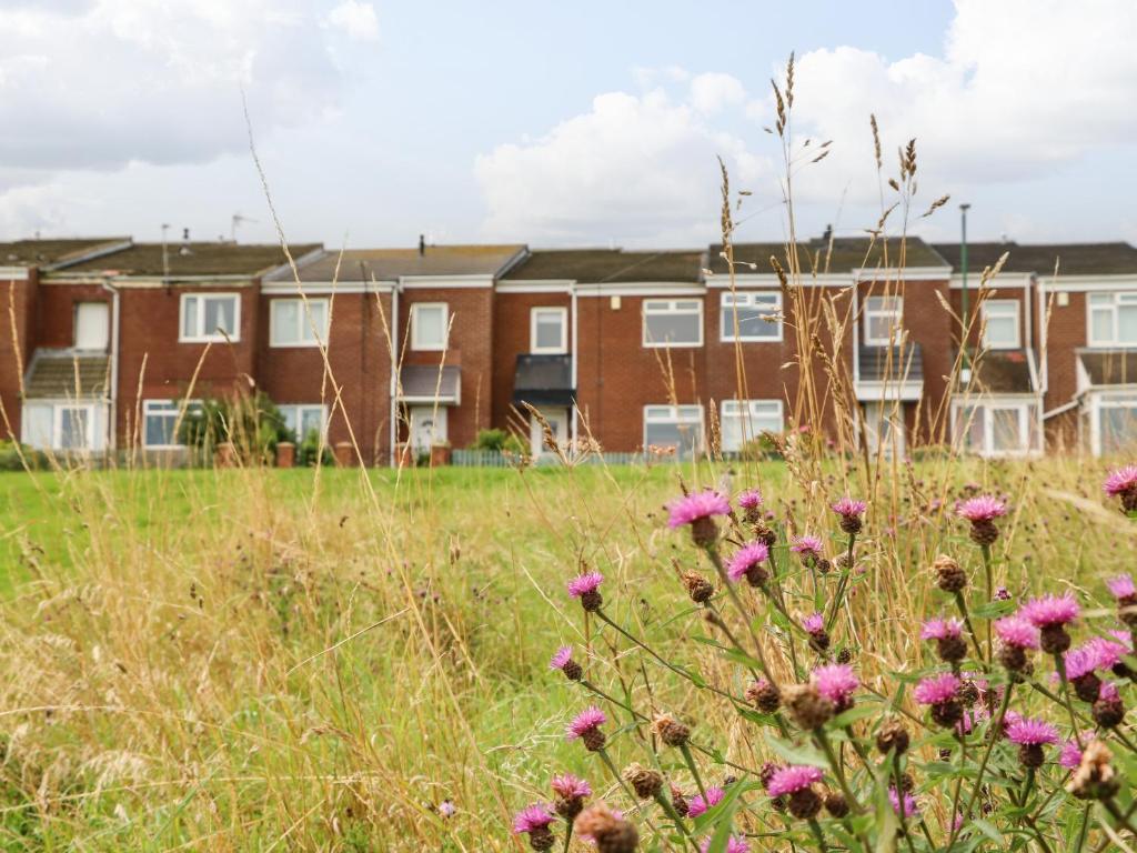 ein Feld mit rosa Blumen vor einem Gebäude in der Unterkunft Sea View Cottage in South Shields