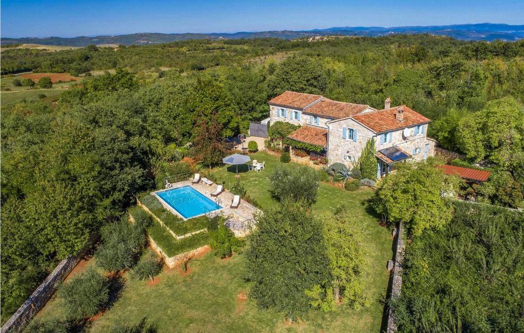an aerial view of a house with a swimming pool at Villa Giselle in Vižinada