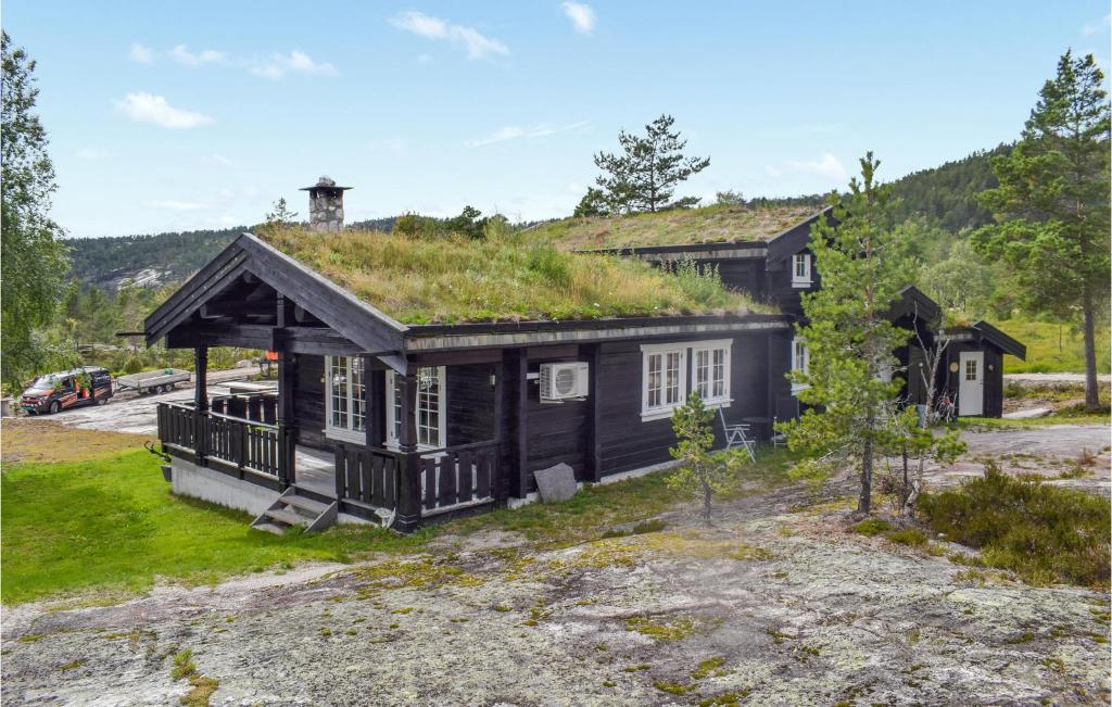 a house with a grass roof at Lovely Home In Treungen With Wifi in Treungen