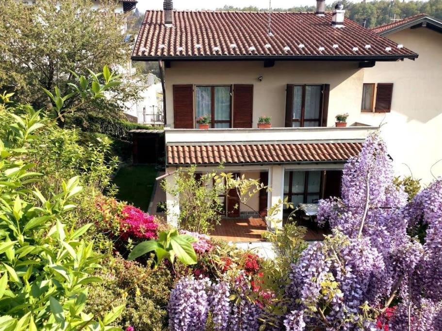 BienoにあるSoulhouseの紫の花の庭